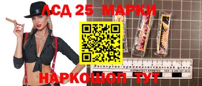 гидропоника Краснодар