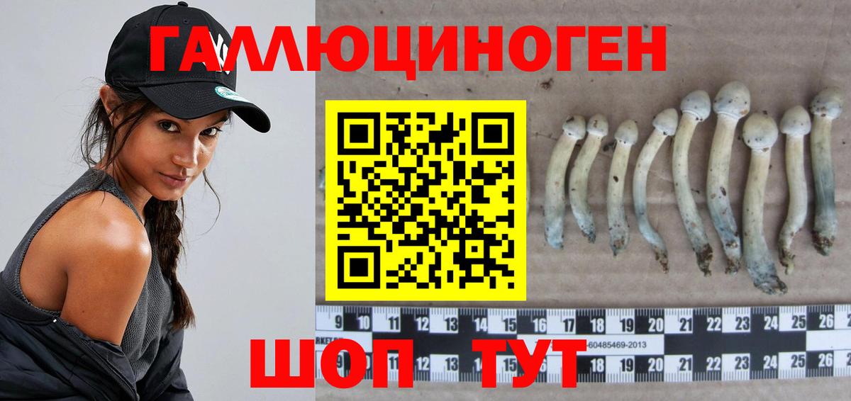 Галлюциногенные грибы Psilocybe Саранск